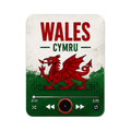 Wales football sound magnet
